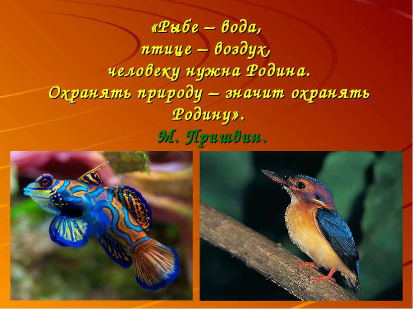«Рыбе – вода, птице – воздух, человеку нужна Родина. Охранять природу – значи...