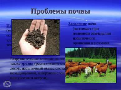 Проблемы почвы Засоление почв (возникает при поливном земледелии избыточного ...
