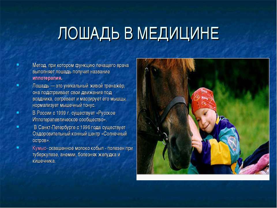 Лошадь доклад 3 класс. Презентация на тему лошади. Лошадь для презентации. Информация о лошадях. Проект на тему лошади.