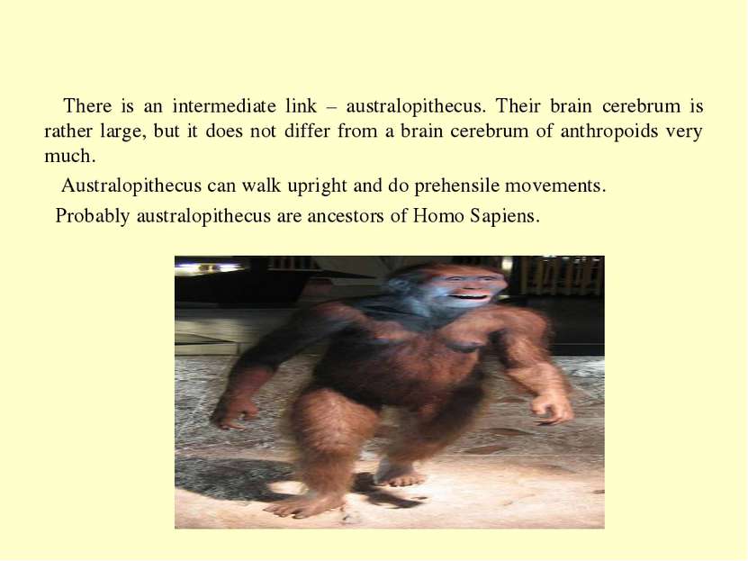 There is an intermediate link – australopithecus. Their brain cerebrum is rat...
