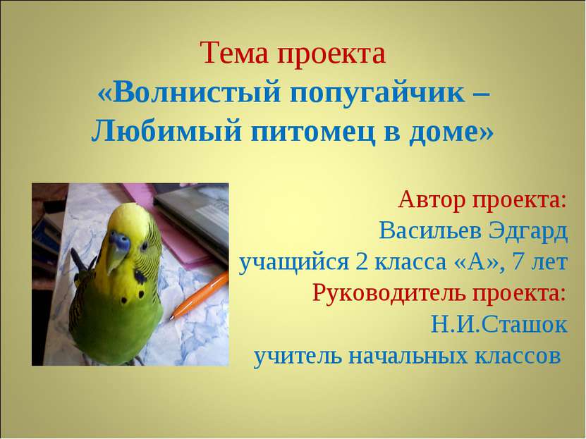 Тема проекта «Волнистый попугайчик – Любимый питомец в доме» Автор проекта: В...