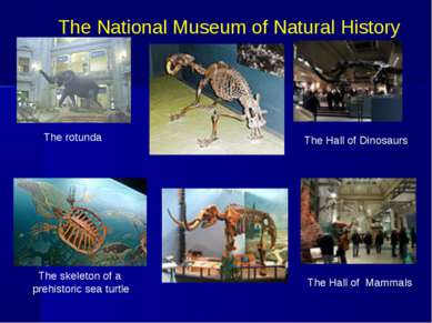 The National Museum of Natural History The rotunda The Hall of Dinosaurs The ...