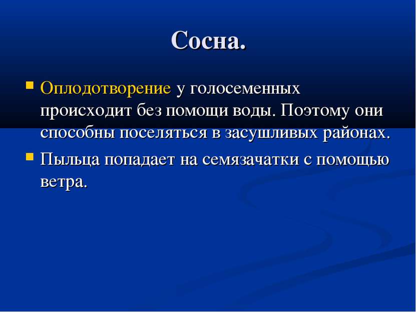 Сосна. Оплодотворение у голосеменных происходит без помощи воды. Поэтому они ...