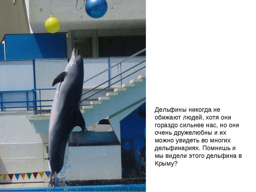 Дельфины никогда не обижают людей, хотя они гораздо сильнее нас, но они очень...