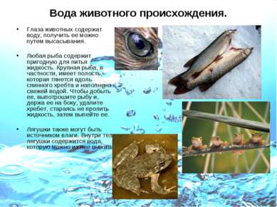 Вода животного происхождения. Глаза животных содержат воду, получить ее можно...