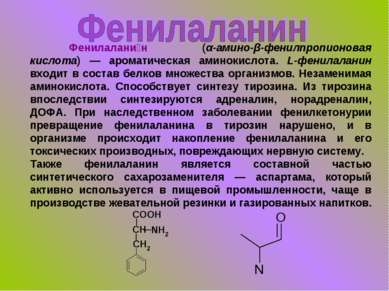 Фенилалани н (α-амино-β-фенилпропионовая кислота) — ароматическая аминокислот...