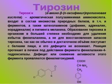 Тирози н (α-амино-β-(п-оксифенил)пропионовая кислота) – ароматическая полузам...