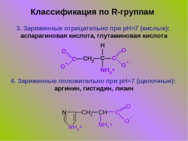 3. Заряженные отрицательно при pH=7 (кислые): аспарагиновая кислота, глутамин...