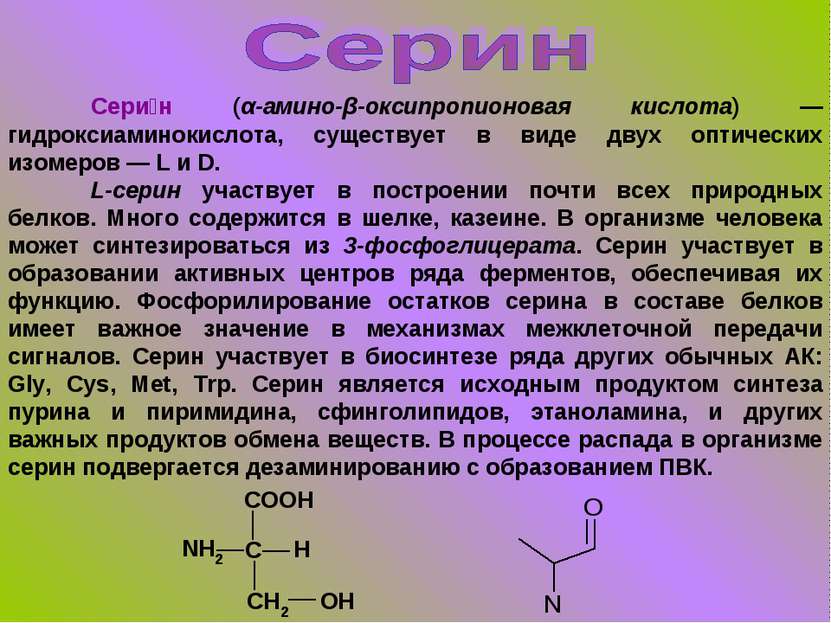 Сери н (α-амино-β-оксипропионовая кислота) — гидроксиаминокислота, существует...