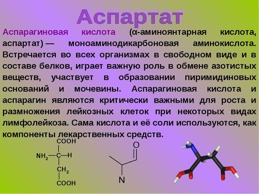 Аспарагиновая кислота (α-аминоянтарная кислота, аспартат) — моноаминодикарбон...