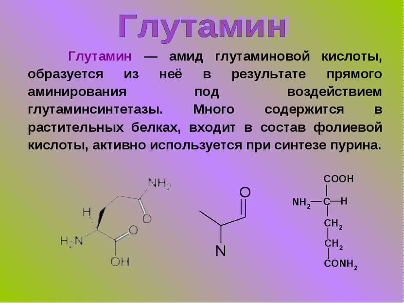 Глутамин — амид глутаминовой кислоты, образуется из неё в результате прямого ...