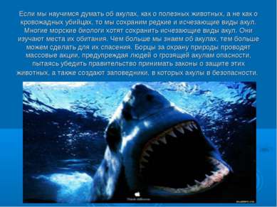 Если мы научимся думать об акулах, как о полезных животных, а не как о кровож...