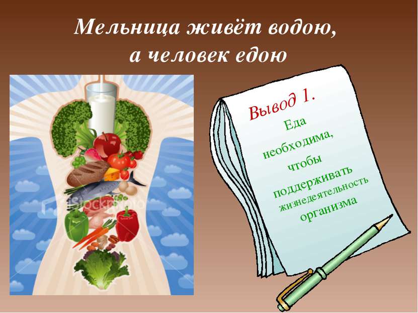 Мельница живёт водою, а человек едою Вывод 1. Еда необходима, чтобы поддержив...