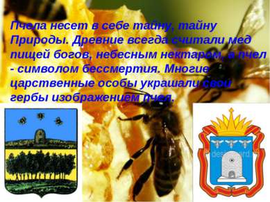 Пчела несет в себе тайну, тайну Природы. Древние всегда считали мед пищей бог...