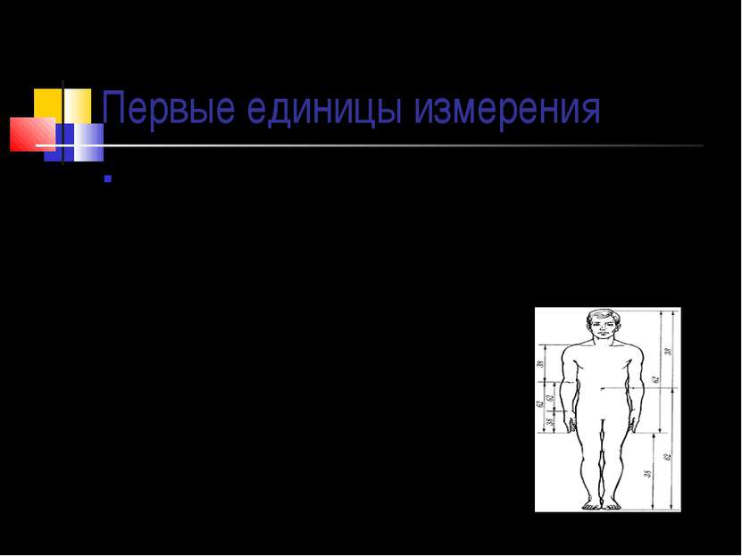 Первые единицы измерения Первые единицы длины как в России, так и в других ст...