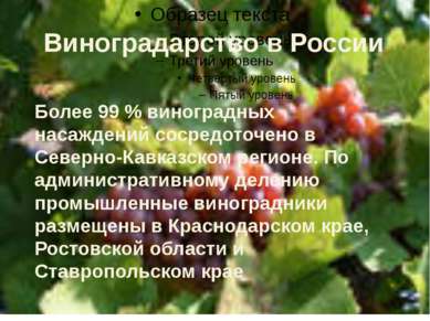 Более 99 % виноградных насаждений сосредоточено в Северно-Кавказском регионе....