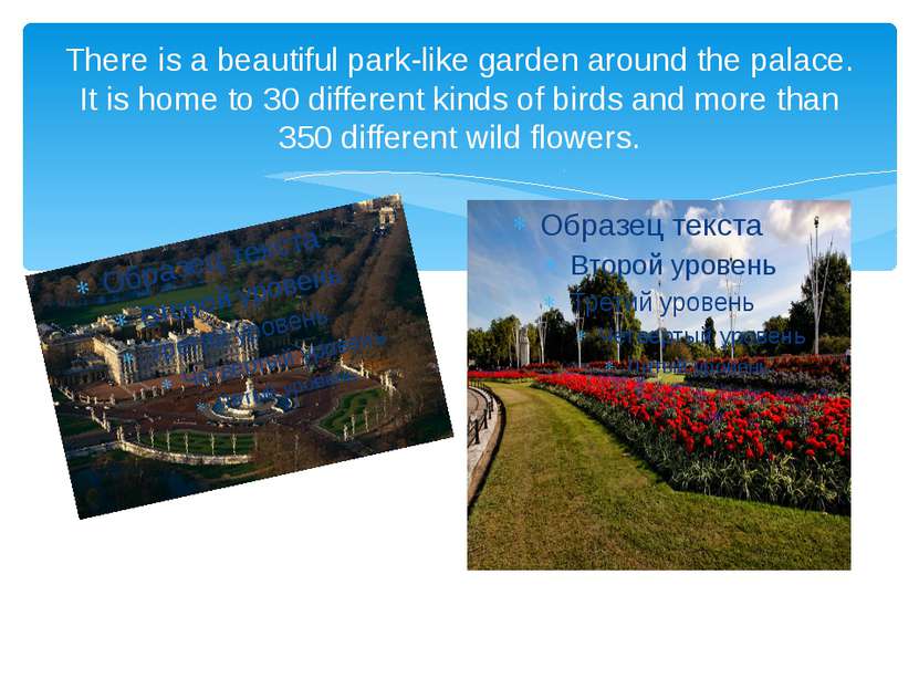 There is a beautiful park-like garden around the palace. It is home to 30 dif...