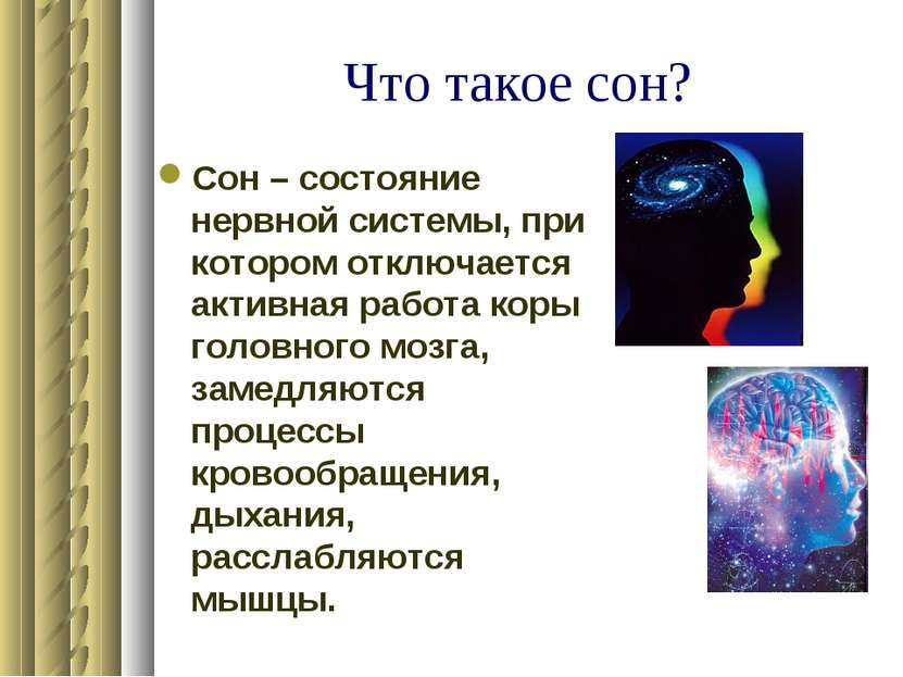 Что такое сон? Сон – состояние нервной системы, при котором отключается актив...