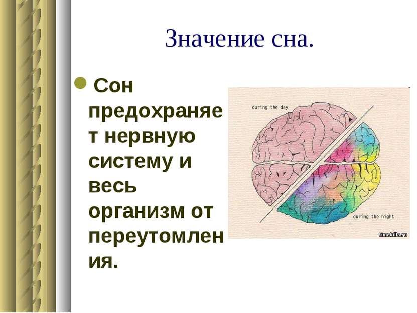 Значение сна. Сон предохраняет нервную систему и весь организм от переутомления.