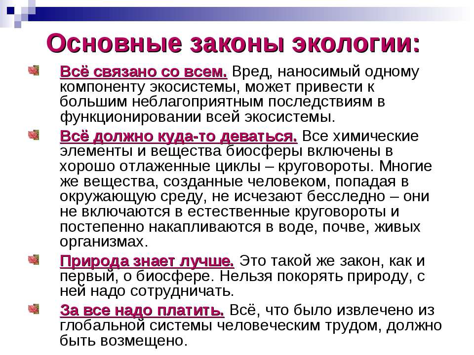 Законы природы определение. Законы экологии. Закон экологии все связано со всем. Основные экологические законы. Главные законы экологии.