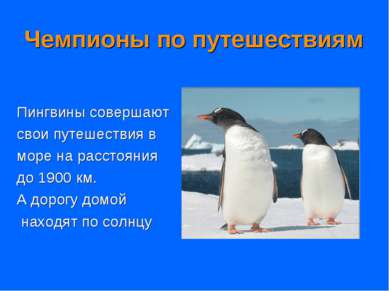Чемпионы по путешествиям Пингвины совершают свои путешествия в море на рассто...