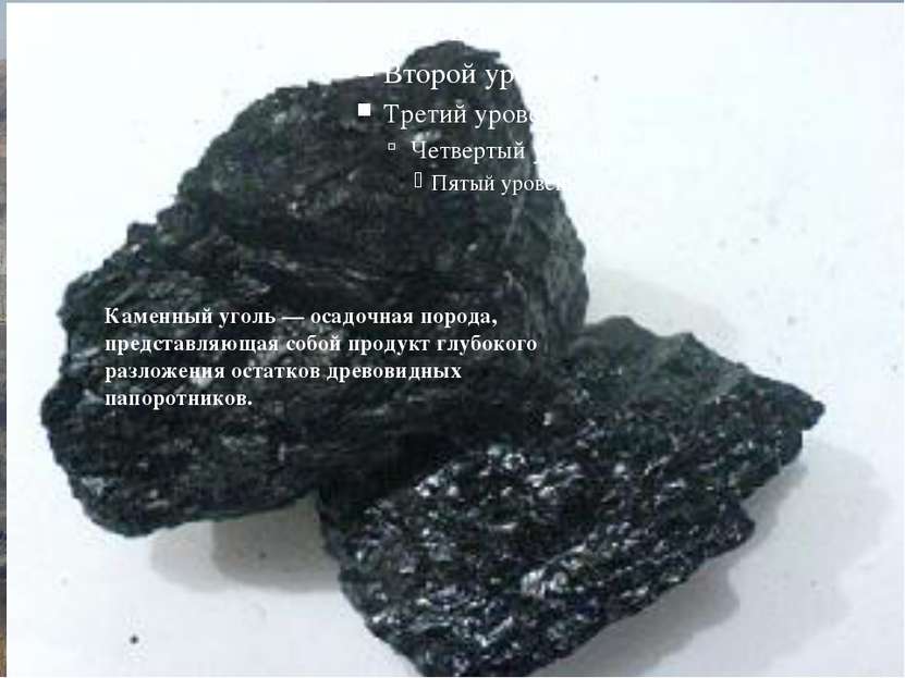 Бачатский угольный разрез Угленосные отложения Бачатского разреза включают 22...