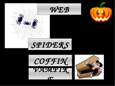 COFFIN VAMPIRE SPIDERS WEB