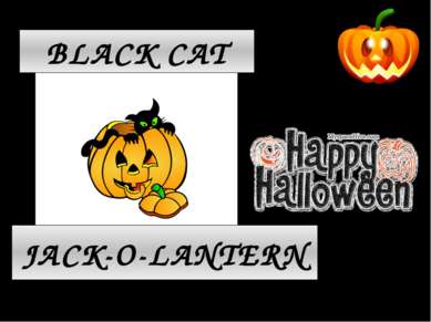 JACK-O-LANTERN BLACK CAT