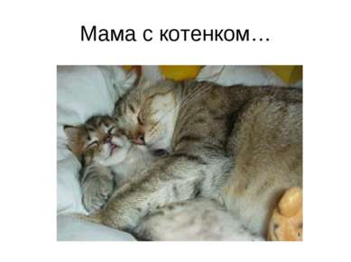 Мама с котенком…