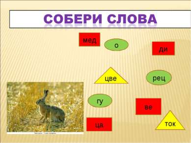 ди ве ца мед о гу рец цве ток