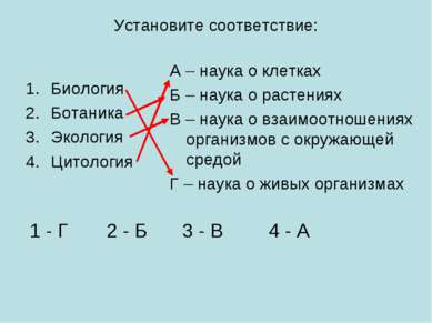 Установите соответствие: Биология Ботаника Экология Цитология А – наука о кле...