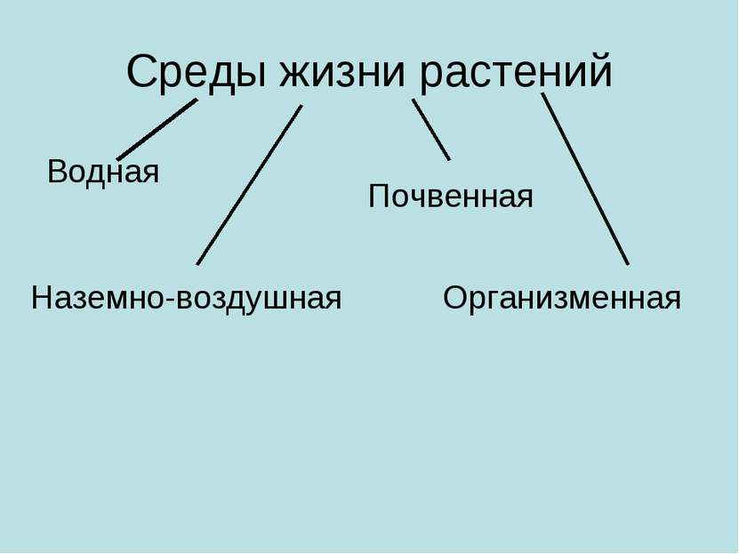 Среды жизни растений Водная Наземно-воздушная Почвенная Организменная