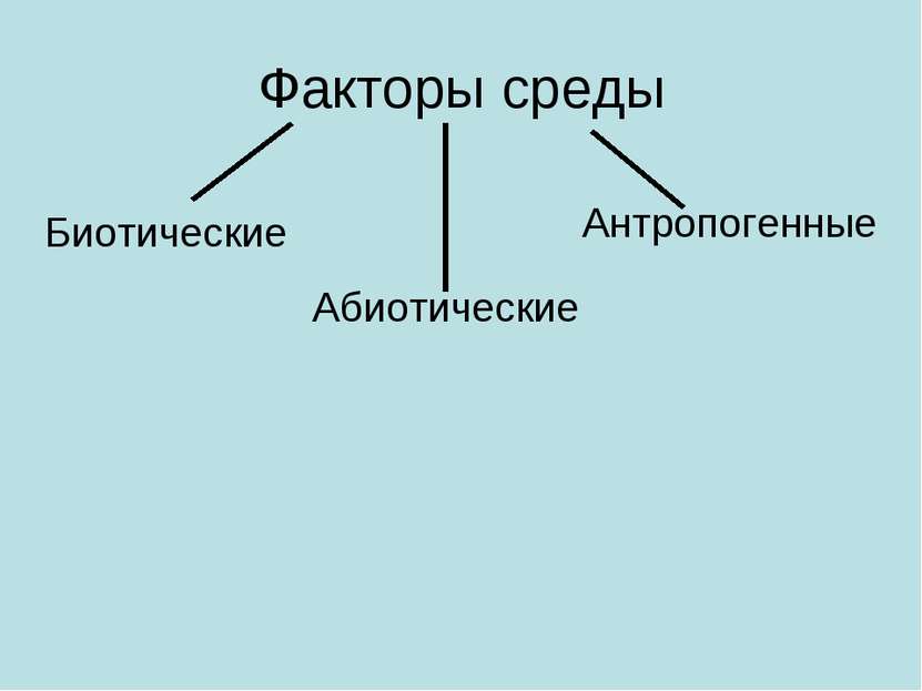 Факторы среды Биотические Абиотические Антропогенные