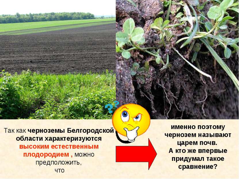 Так как черноземы Белгородской области характеризуются высоким естественным п...