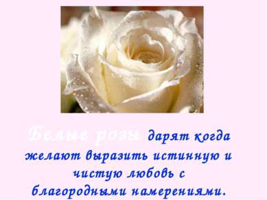 Белые розы дарят когда желают выразить истинную и чистую любовь с благородным...