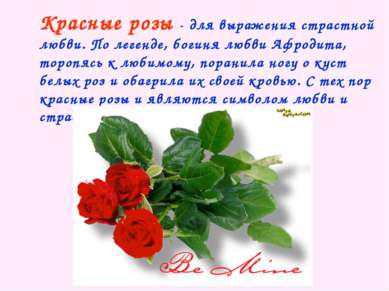 Красные розы - для выражения страстной любви. По легенде, богиня любви Афроди...