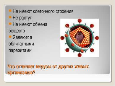 Что отличает вирусы от других живых организмов? Не имеют клеточного строения ...