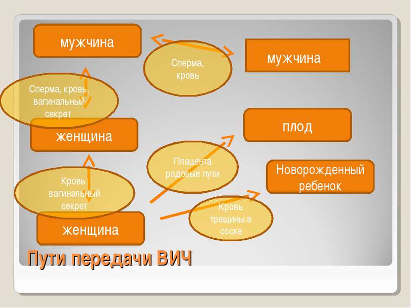 Пути передачи ВИЧ мужчина мужчина плод Новорожденный ребенок женщина женщина ...