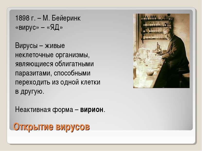 Открытие вирусов 1898 г. – М. Бейеринк «вирус» – «ЯД» Вирусы – живые неклеточ...