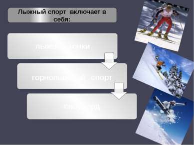 Лыжный спорт включает в себя: