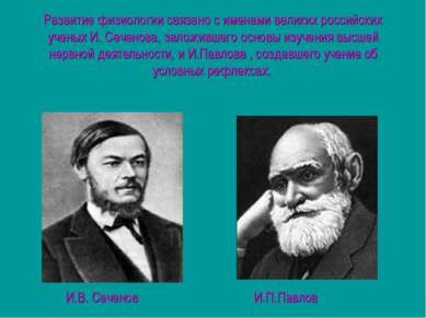 Развитие физиологии связано с именами великих российских ученых И. Сеченова, ...