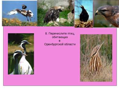 8. Перечислите птиц, обитающих в Оренбургской области