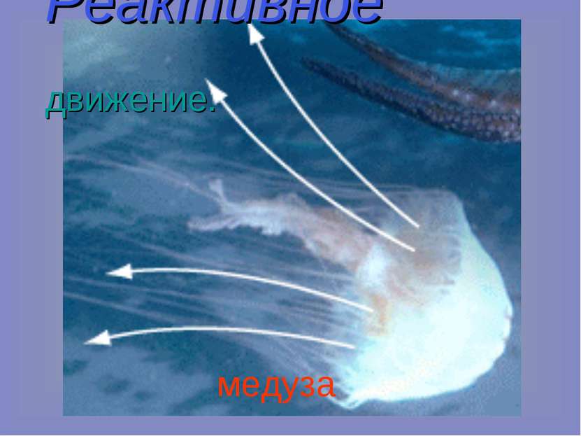 медуза Реактивное движение.