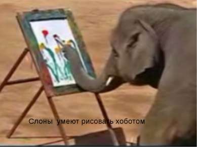 Слоны умеют рисовать хоботом