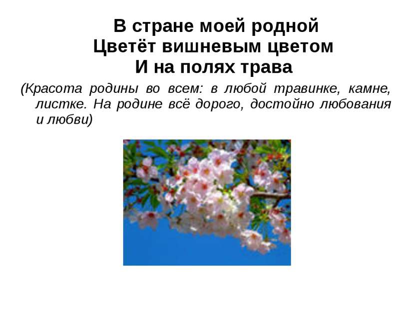 В стране моей родной Цветёт вишневым цветом И на полях трава (Красота родины ...