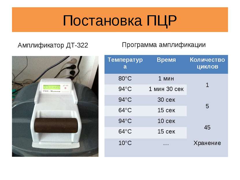 Постановка ПЦР Амплификатор ДТ-322 Программа амплификации Температура Время К...