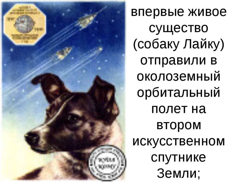 1957 г. — впервые живое существо (собаку Лайку) отправили в околоземный орбит...