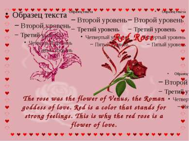 The rose was the flower of Venus, the Roman goddess of love. Red is a color t...