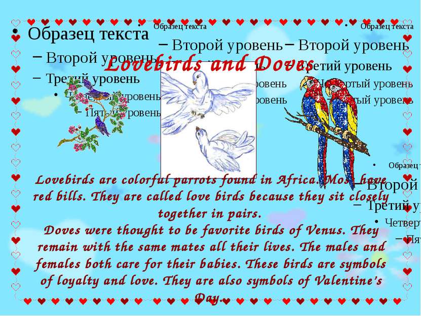 Lovebirds are colorful parrots found in Africa. Most have red bills. They are...