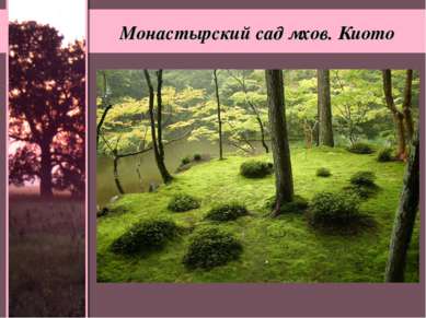 Монастырский сад мхов. Киото